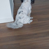 IMG 20250712 WA0009