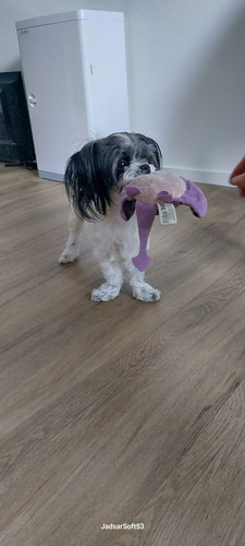 IMG 20250718 WA0011.jpg