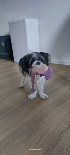 IMG 20250718 WA0005.jpg