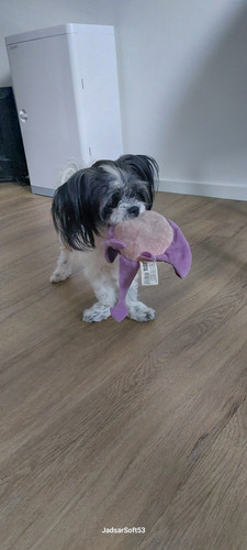 IMG 20250718 WA0010.jpg
