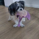 IMG 20250718 WA0010