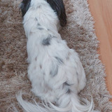 IMG 20250715 WA0005