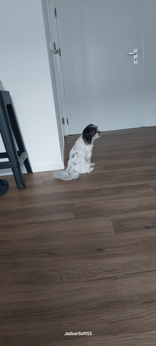 IMG 20250712 WA0012.jpg