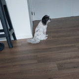 IMG 20250712 WA0012