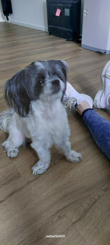 IMG 20250718 WA0008.jpg
