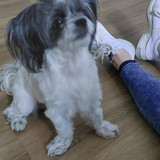IMG 20250718 WA0008