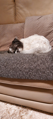 IMG 20250724 WA0004.jpg