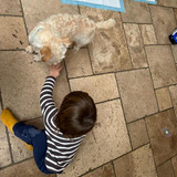 IMG 20230120 WA0004