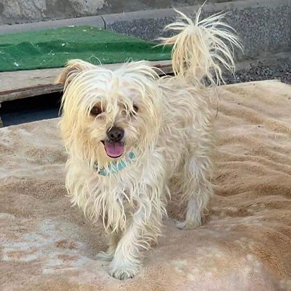 facebook 1673123129259 7017587033544330918.jpg