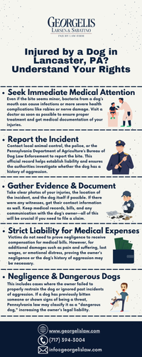 Dog Bite Victim in Lancaster, PA? Know the Legal Steps.png