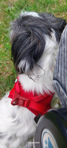 IMG 20250711 WA0010.jpg