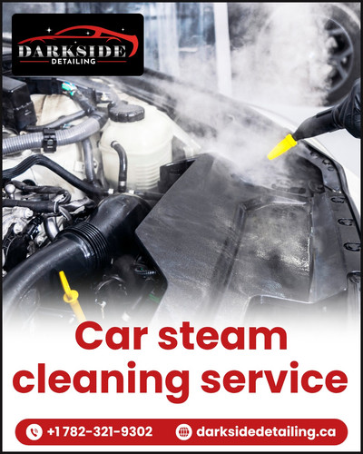 Car steam cleaning service.jpg