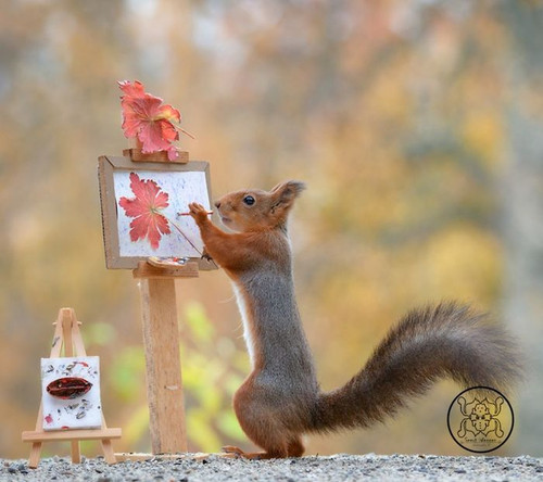 (23) Squirrels.jpg