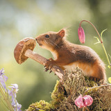 Squirrels hold me tight