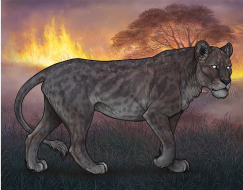 Screenshot 2025 08 21 121510.png