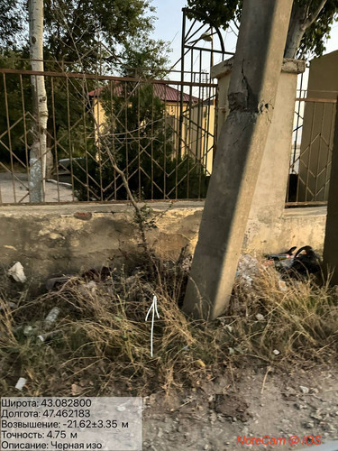 photo 17 2025 08 21 00 49 17.jpg