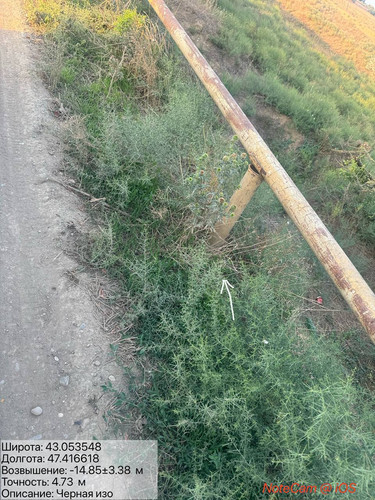 photo 3 2025 08 21 00 49 17.jpg