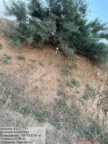 photo 11 2025 08 21 00 49 17.jpg