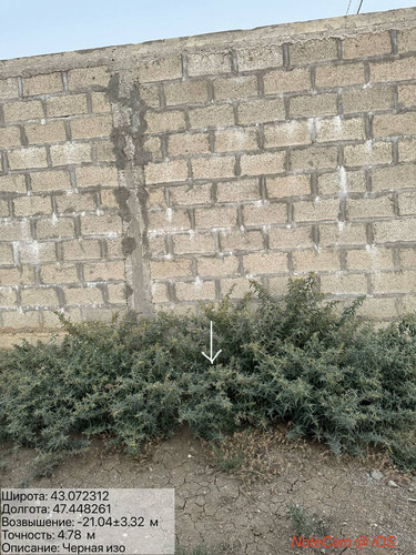 photo 14 2025 08 21 00 49 17.jpg