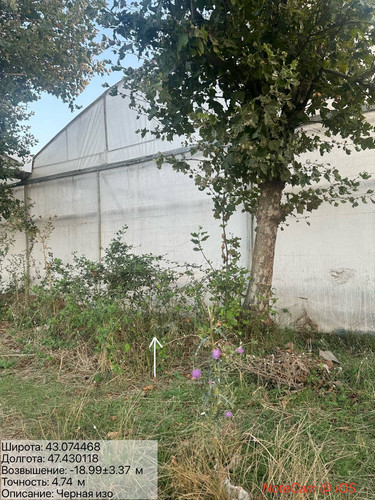 photo 8 2025 08 21 00 49 17.jpg