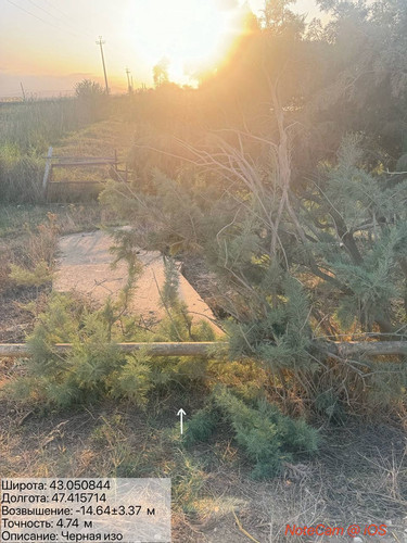 photo 2 2025 08 21 00 49 17.jpg