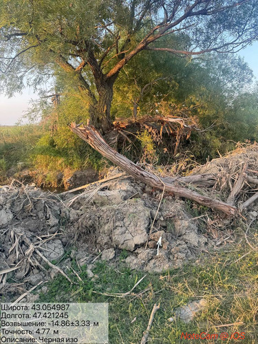 photo 5 2025 08 21 00 49 17.jpg