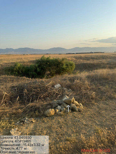 photo 1 2025 08 21 00 49 17.jpg