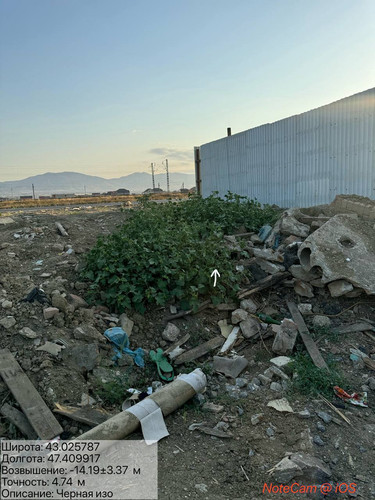 photo 4 2025 08 21 00 48 10.jpg