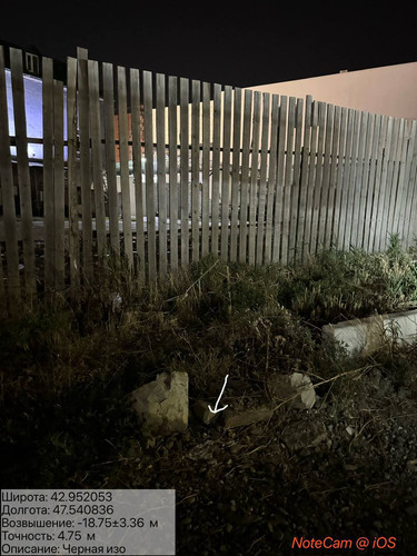 photo 7 2025 08 20 04 16 02.jpg