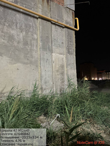 photo 5 2025 08 20 04 16 02.jpg