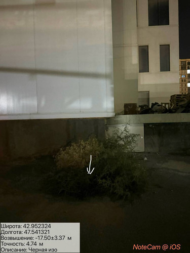 photo 8 2025 08 20 04 16 02.jpg