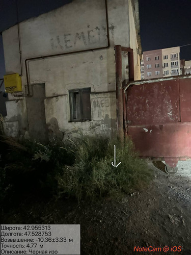 photo 10 2025 08 20 04 16 02.jpg