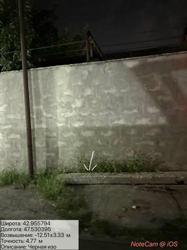 photo 11 2025 08 20 04 16 02.jpg