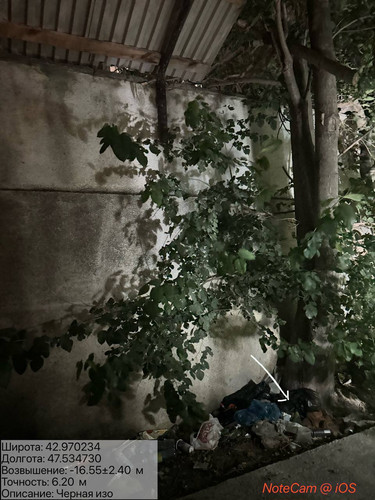 photo 19 2025 08 20 04 16 02.jpg