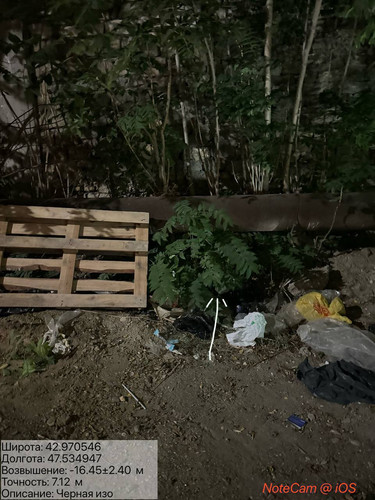 photo 20 2025 08 20 04 16 02.jpg