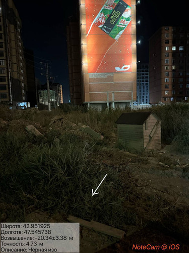 photo 6 2025 08 20 04 16 02.jpg