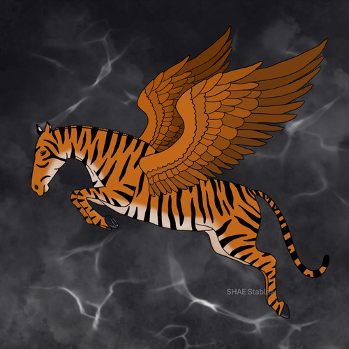 Tiger Storm marked.jpg