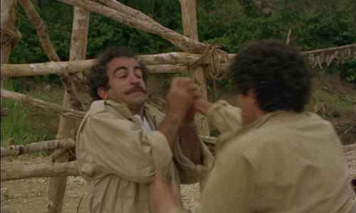 vlcsnap 2025 08 20 12h38m11s316.png