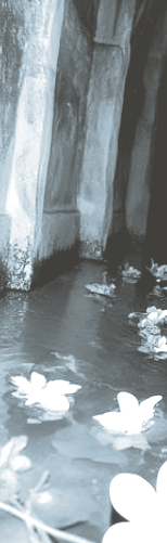 Untitled373 20250819205300.png