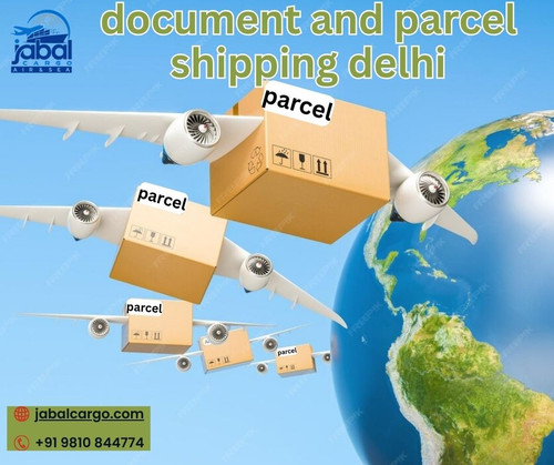 Document & Parcel Shipping in Delhi Safe & Express Delivery.jpg