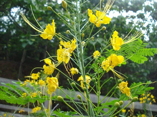 71AZcwpS5JL. AC UF1000,1000 QL80.jpg