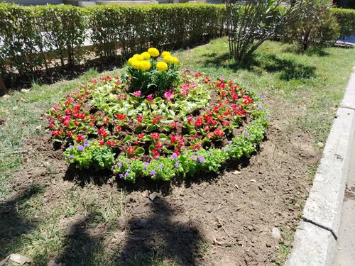 509434392 1145923667567013 7525309284046149418 n.jpg?stp=dst jpg s600x600 tt6& nc cat=110&ccb=1 7& n.jpg