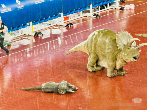 Camera XHS 17505141967881040g2sg31j09bc14gme0416r3esbo80saad2pro edit 97788197896237.jpg