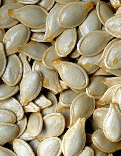 20 pumpkin seeds 20 ps the green.jpg