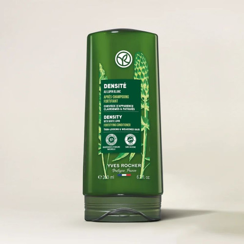 52694 1 1742725200336577.jpg