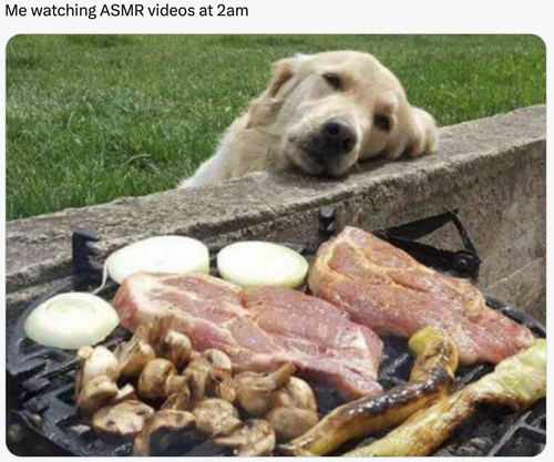 Screenshot 2025 06 22 at 7.53.23 AM.png