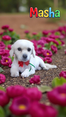 1750455303136 (2).jpg