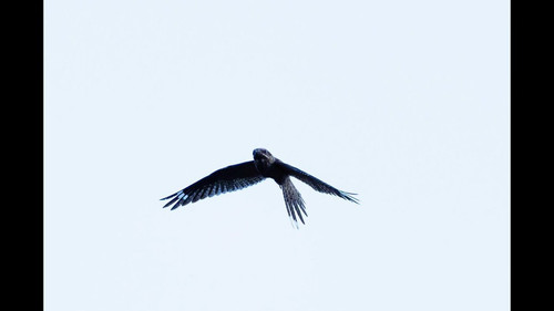 QViwrt5y Fa7ehbh.jpg