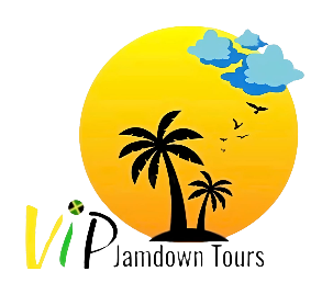 VIP Jamdown Tours.png