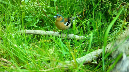 wBdE5A Q4kM6AuRZ.jpg